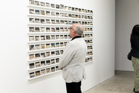 These are Addressed to You exhibition opening. Photo by Renati Waaka.