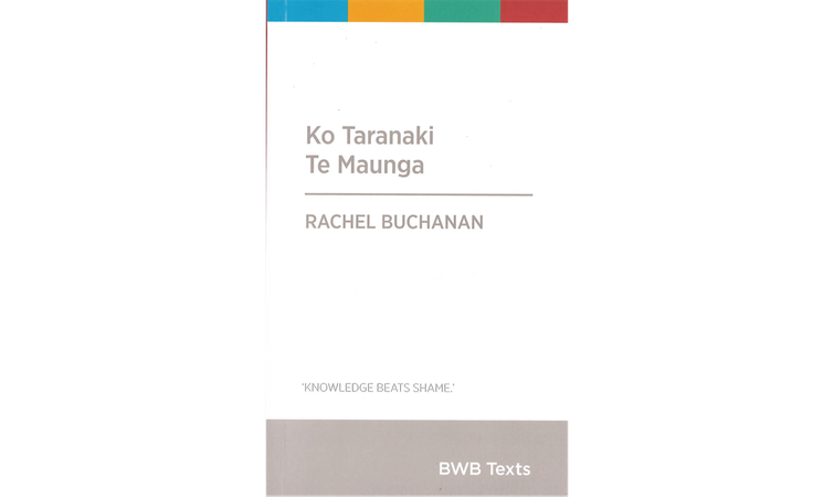 Stream or Discharge: Using the Hydrosocial Cycle to Explore the Meanings of  the Waimapihi Stream in Te Whanganui-a-Tara-Wellington, Aotearoa-New Zealand