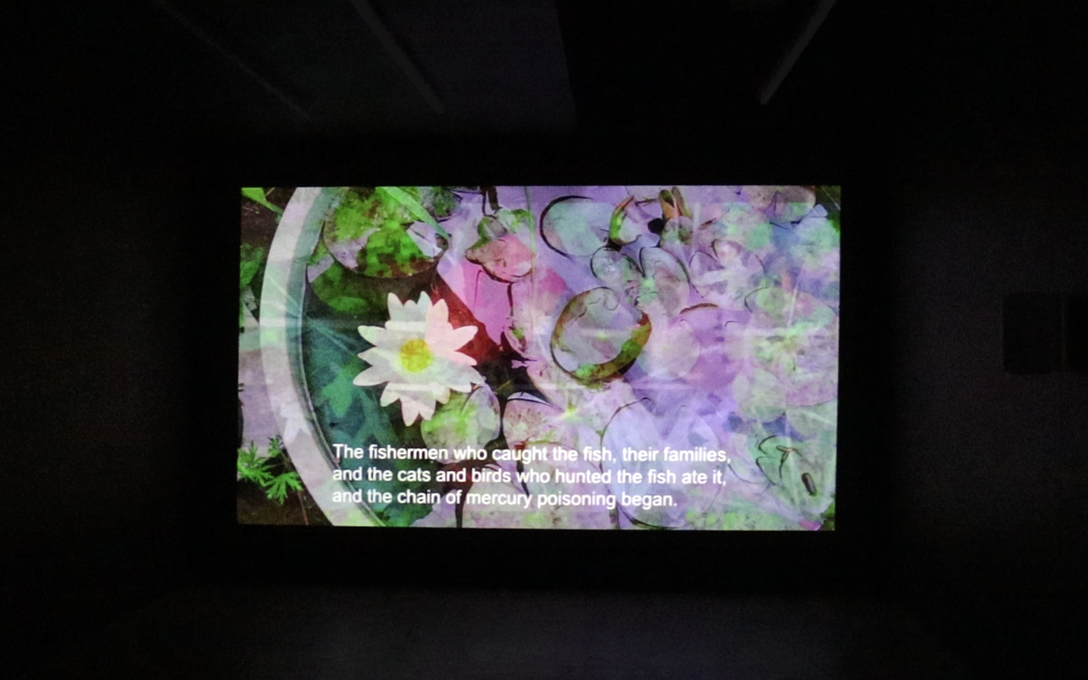 Ravi Masaki, The Story of Nico, 2023, installation view.