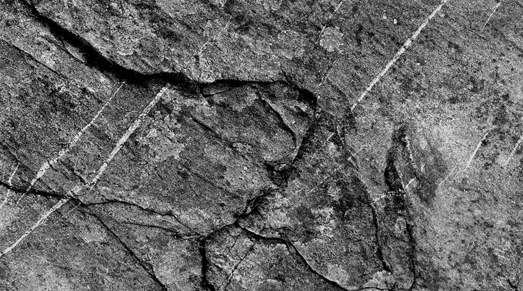 Weathered rock at Sgòrr Ruadh. Scotland, 2022. Photograph by Trantham Gordon.