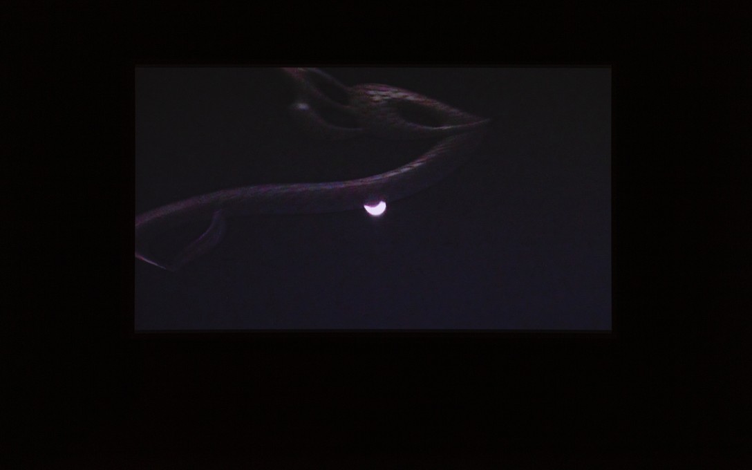 Mariam Tawfik, The Shamash is the same but the Atua is different, 2025, installation view. Image courtesy of Cheska Brown.