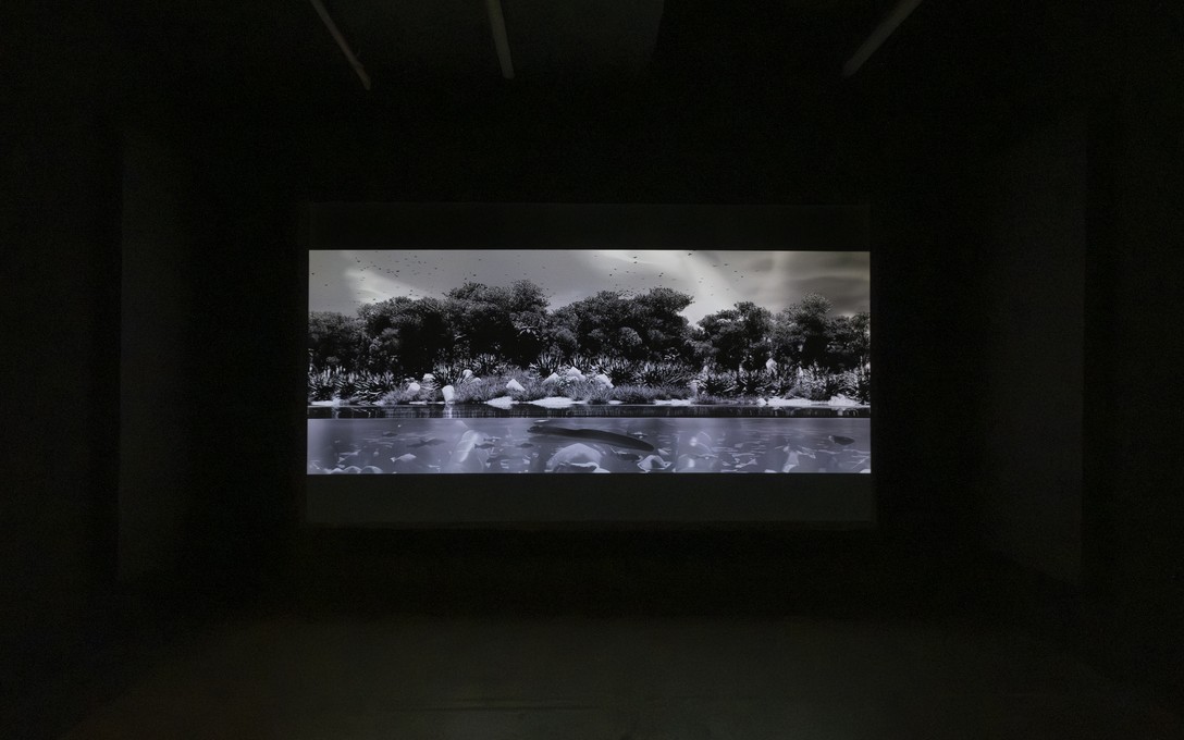 George Turner, Refugia.exe, 2025. Installation view. Photo by Samson Dell.