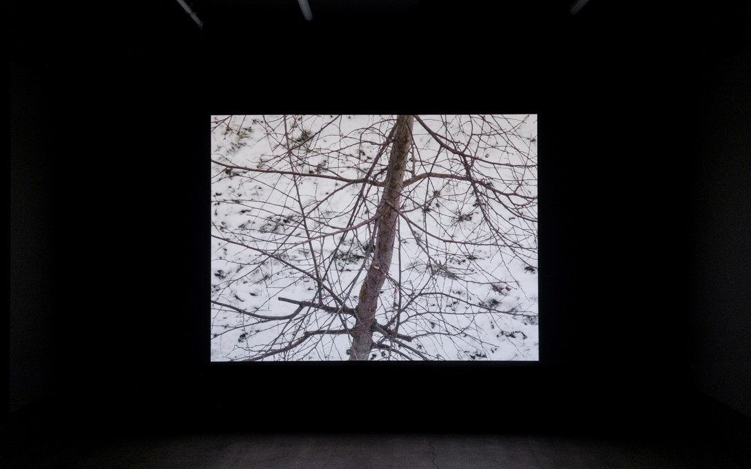 Lily Worrall, moon iron wings, 2026. Photo by Samson Dell.