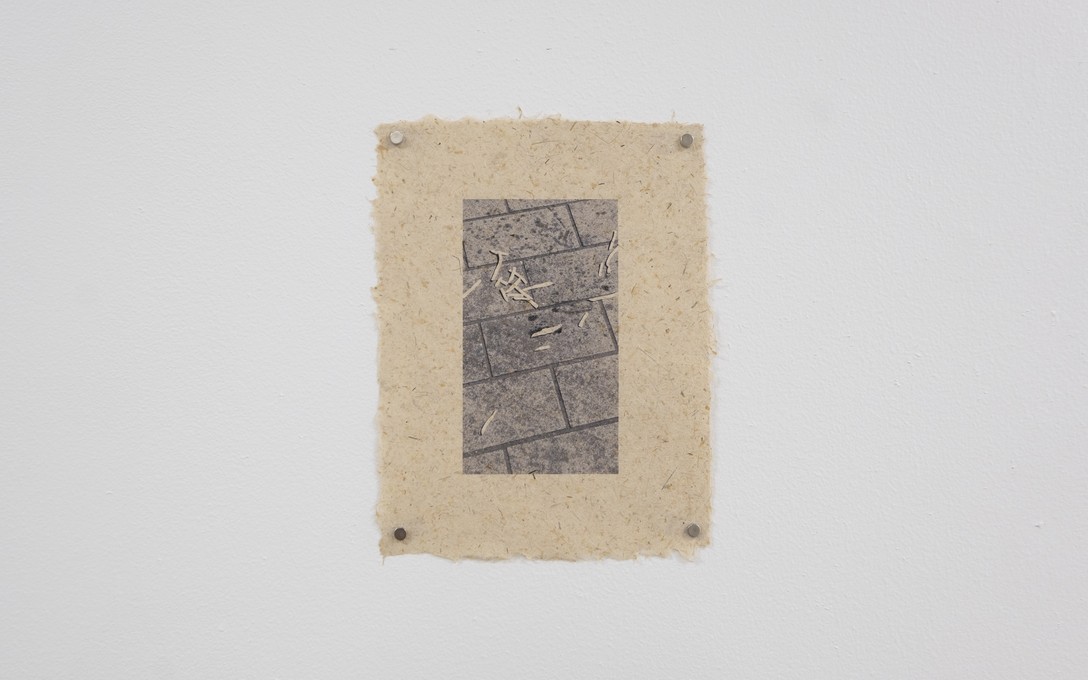 Matt Tini, of forests and concrete, 2025. Photo by Samson Dell.