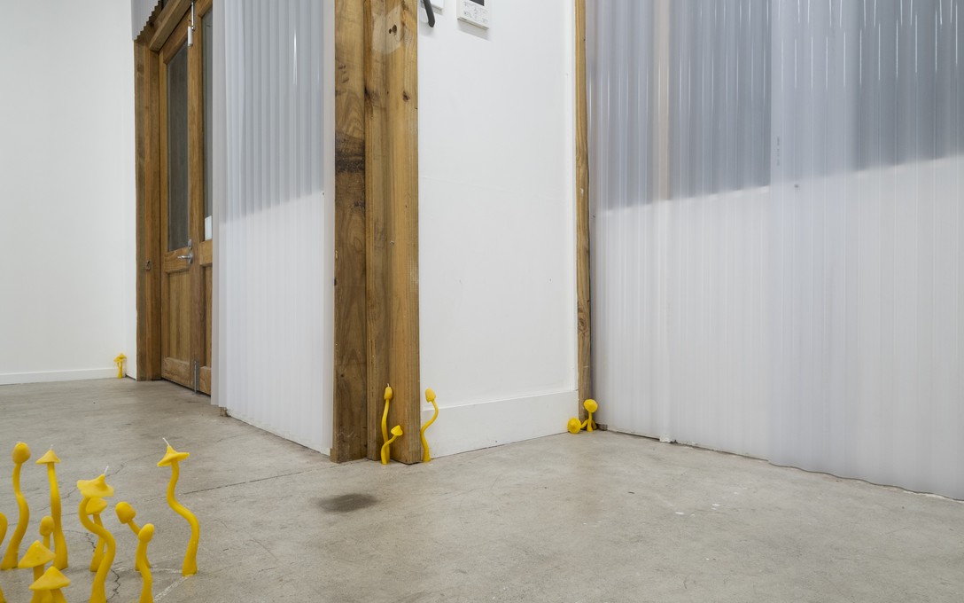 George Turner, Under the Pasture, 2025. Installation view. Photo by Samson Dell.