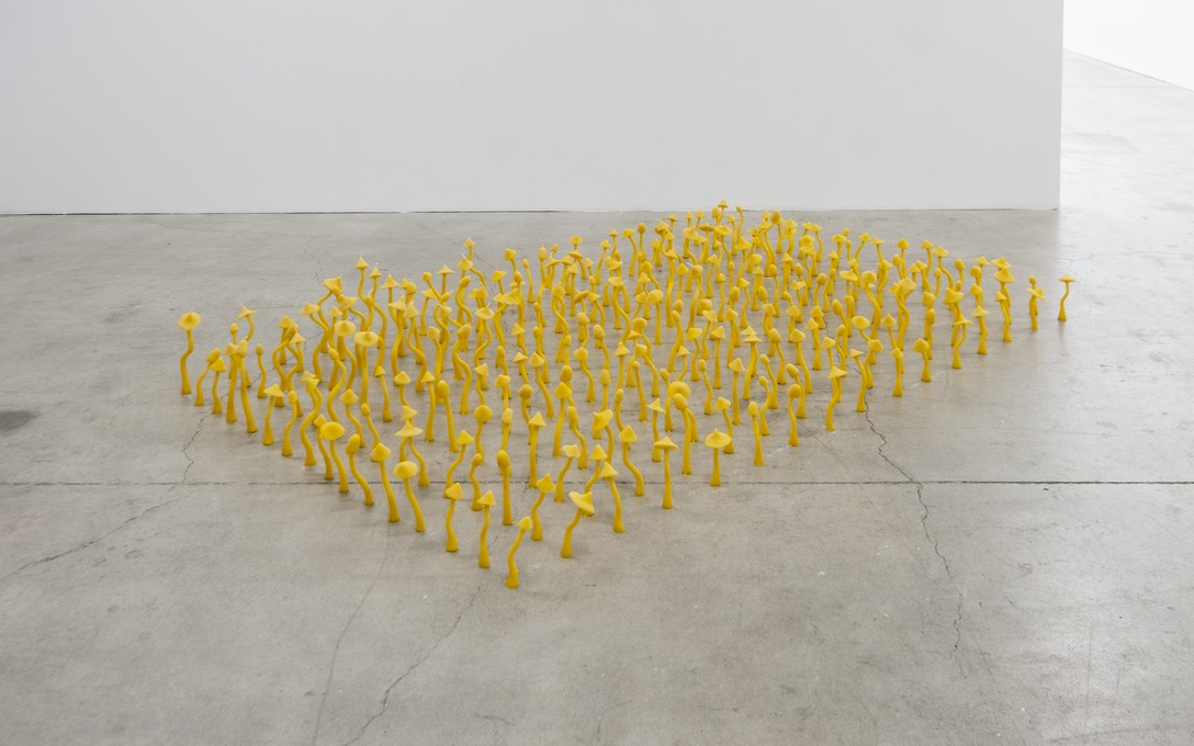 George Turner, Out of the Scene, into the Fever, 2025. Installation view. Photo by Samson Dell.