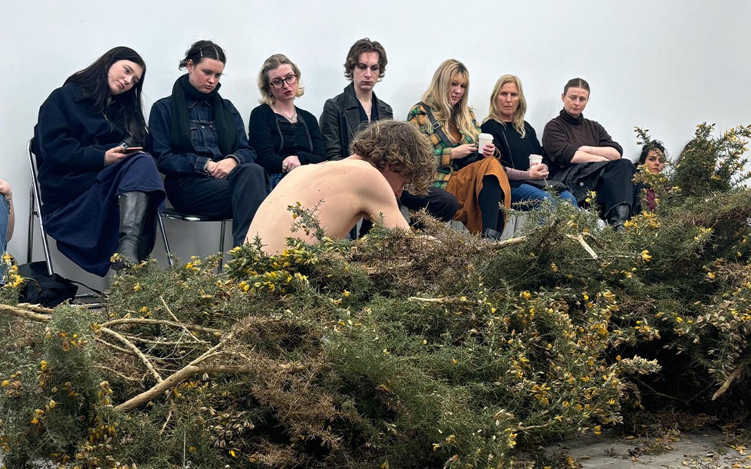 Jack Ellery, C U T Gorse, 2024. Image courtesy of DJCS.