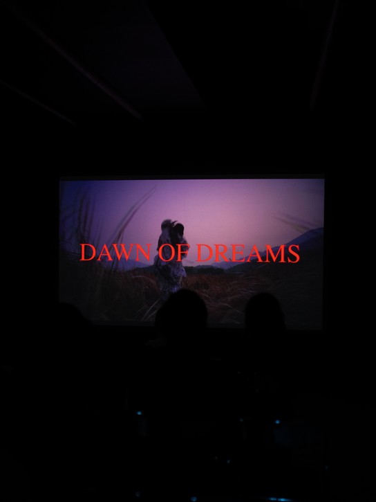 Zed Xu 榛子瞬, Dawn of Dreams, video. Photo by Paige Carson-Wilson.