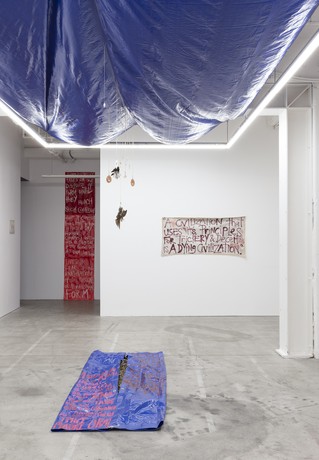 An Ethics of Witnessing installation image by Cheska Brown.