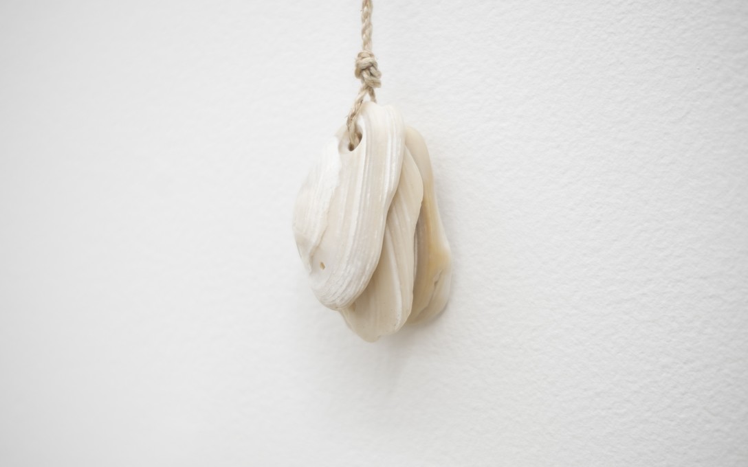 Arawhetu Berdinner, Hei pipi (piko, piko), muka, pipi/flax fibre cordage (waxed), partially mineralised pipi shells, 2026, detail. Photo by Samson Dell.