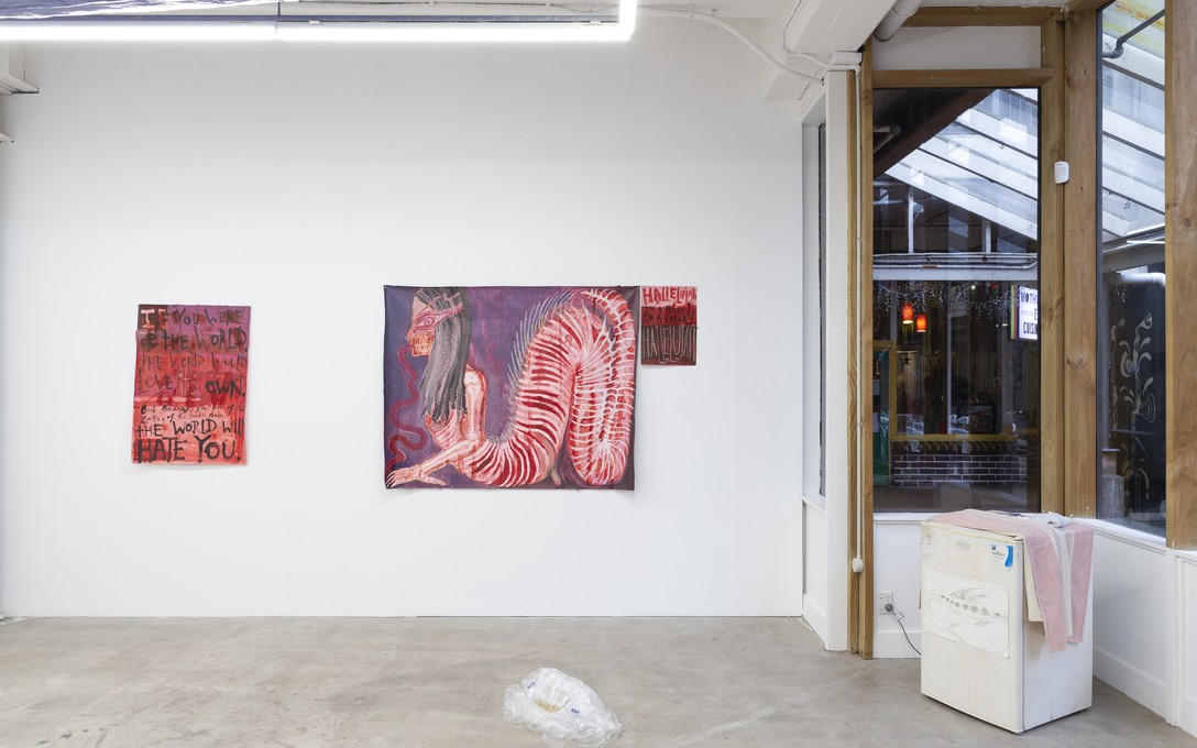 The Ethics of Witnessing, installation view. Image courtesy of Cheska Brown.  