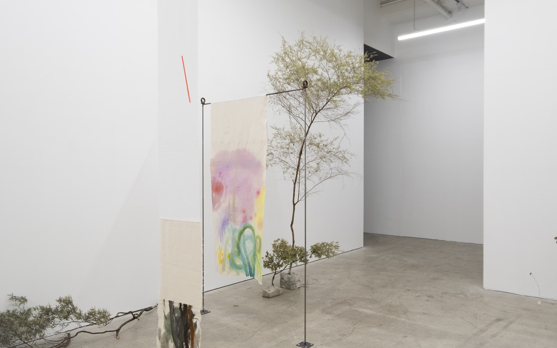 Sena Park, I touch the surface, we draw wild beauty, 2025. Photo by Samson Dell.