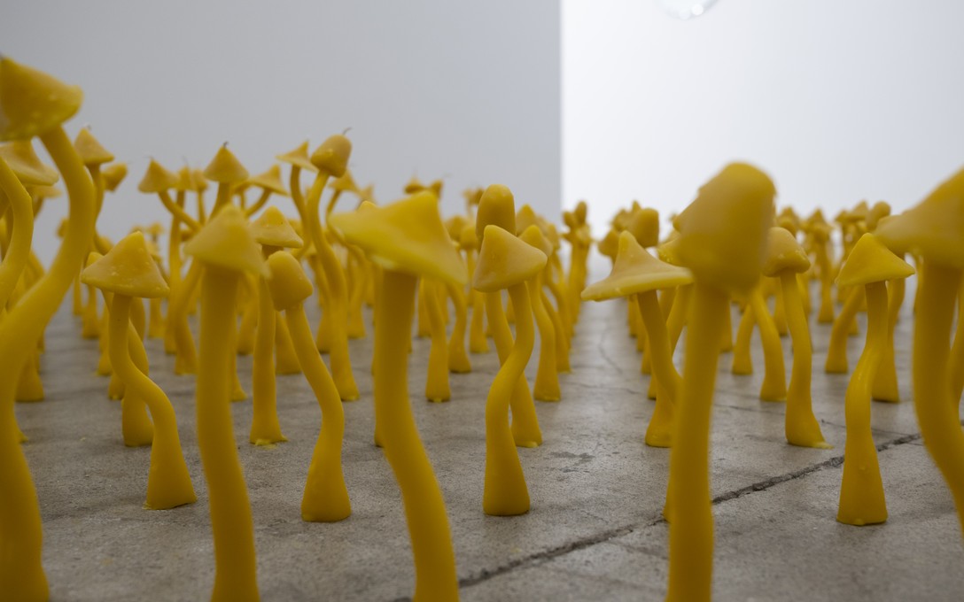 George Turner, Out of the Scene, into the Fever, 2025. Detail view. Photo by Samson Dell.