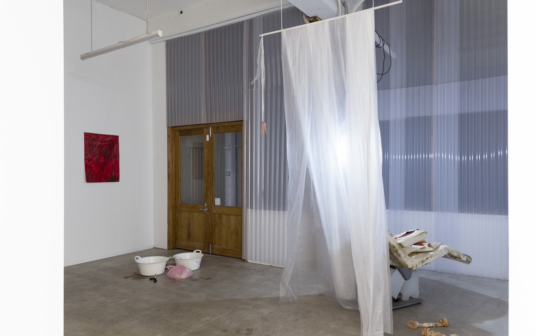 Fetishini, Skin & Liver, installation view. Image courtesy of Cheska Brown.  