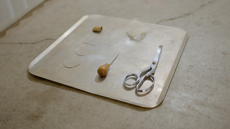 The Ethics of Witnessing [ROT], 4 Hōngongoi 2025. Photo courtesy of Ted Whitaker.
