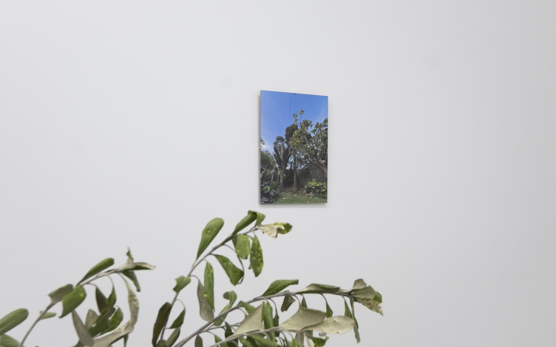 Sena Park, I touch the surface, we draw wild beauty, 2025. Photo by Samson Dell.