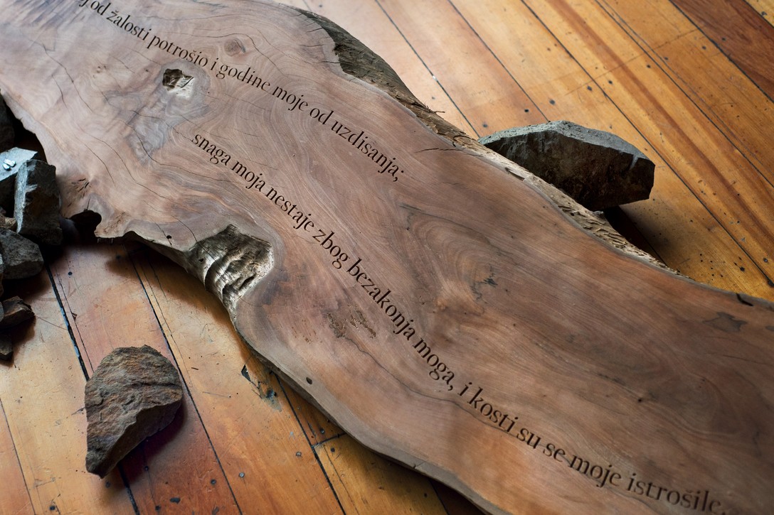 Bronte Perry, Nikola Kršinić II (detail), 2018, Pohutukawa. Image courtesy of Xander Dixon.