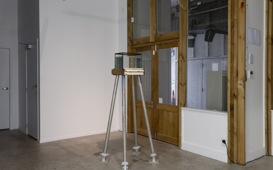 Henrietta Fisher, The Seer's Tower II, 2024, disused rimu steps, disused scaffolding, glass tank, water, goldfish, installation view. Image courtesy of Cheska Brown.