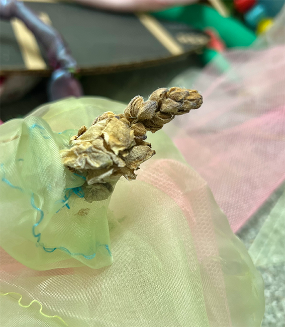 Sena Park, I touch the surface, we draw wild beauty, 2025-26.