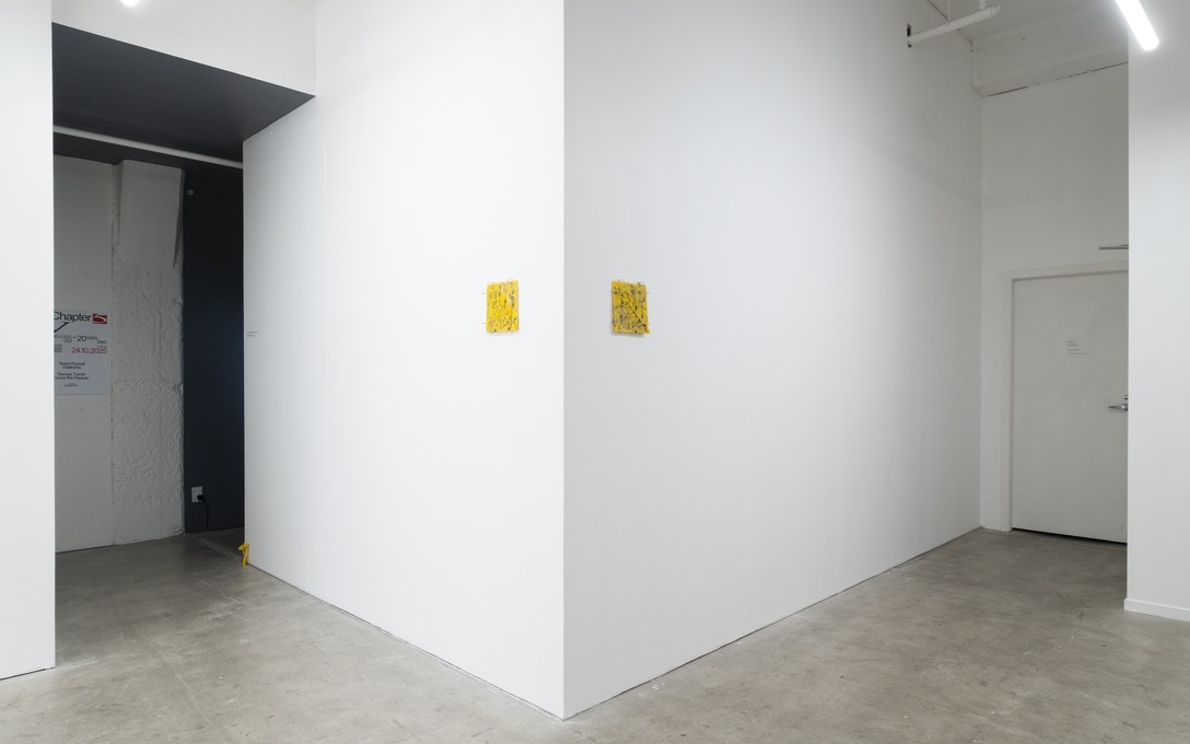 George Turner, Under the Pasture, 2025. Installation view. Photo by Samson Dell.