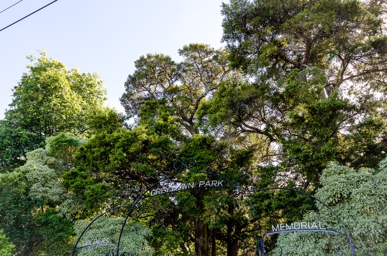 Mary Macpherson, Totara and Lemonwood, Greytown. Archival inkjet print, 420x594mm, series 2011- 2014. © Mary Macpherson