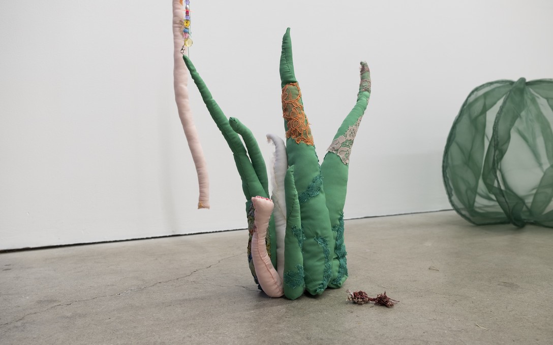 Sena Park, I touch the surface, we draw wild beauty, 2025. Photo by Samson Dell.