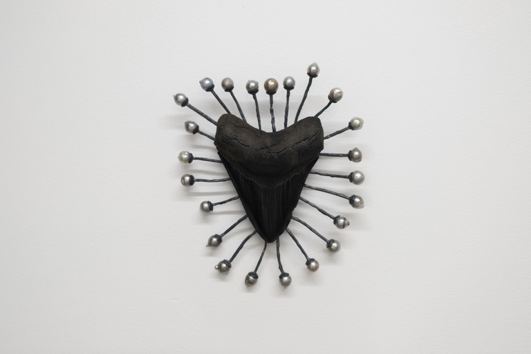 Te Māreikura Whakataka-Brightwell, Sacrum Maris/The Sacred of the Sea, Tahitian baroque pearls, silver, megalodon shark tooth (found in the dark watered Georgia rivers, USA), 2026. Fabrication by Dorthe Kristensen. Photo by Samson Dell.
