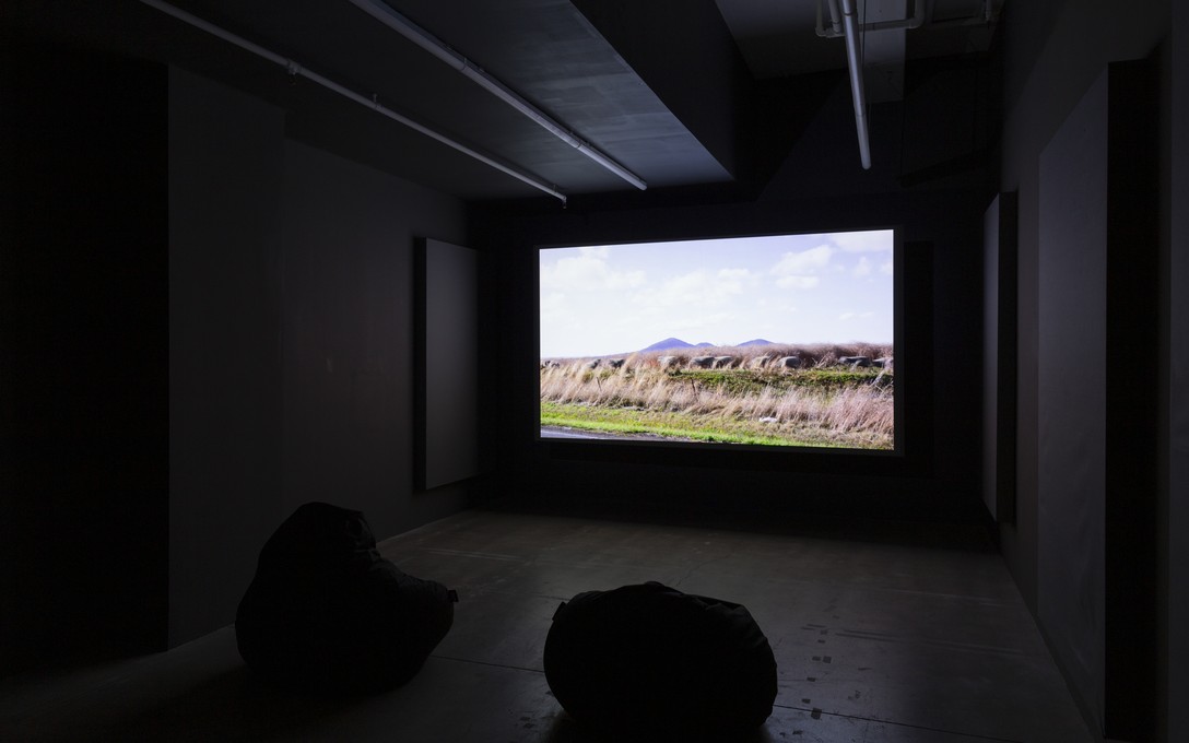 Eugenia Lim, Metabolism, 2K single-channel video, colour, sound, 29:15. Installation view. Courtesy of Cheska Brown.