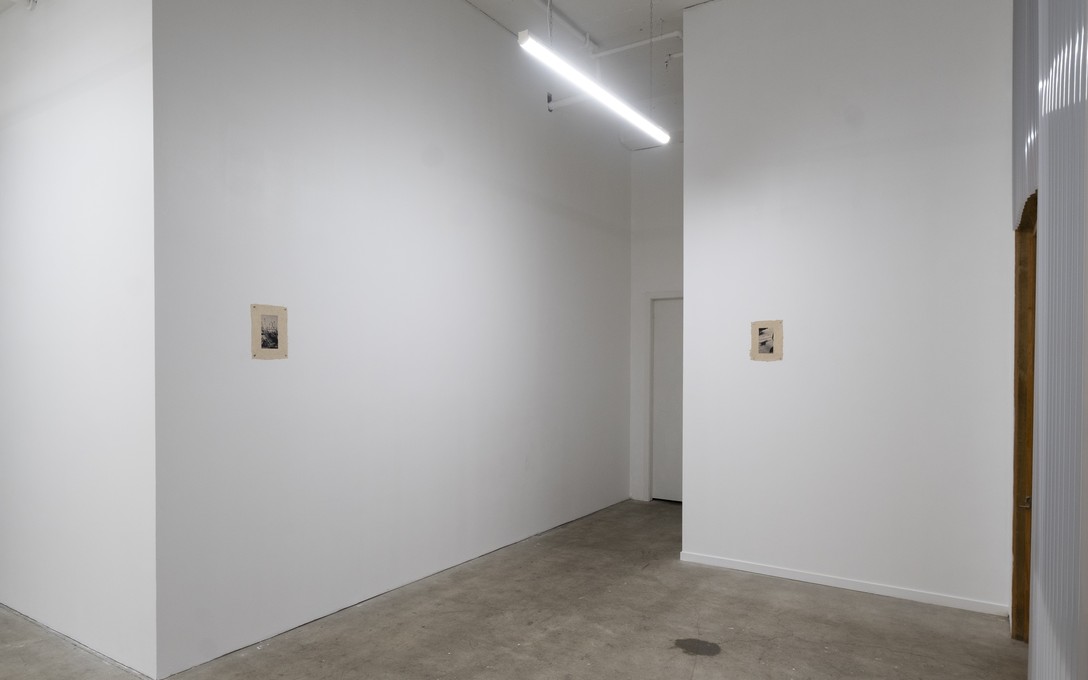 Matt Tini, of forests and concrete, 2025. Photo by Samson Dell.