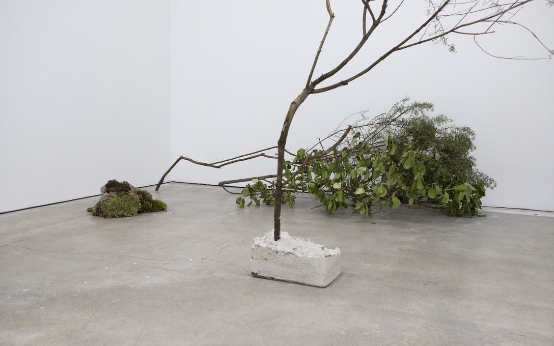 Sena Park, I touch the surface, we draw wild beauty, 2025. Photo by Samson Dell.