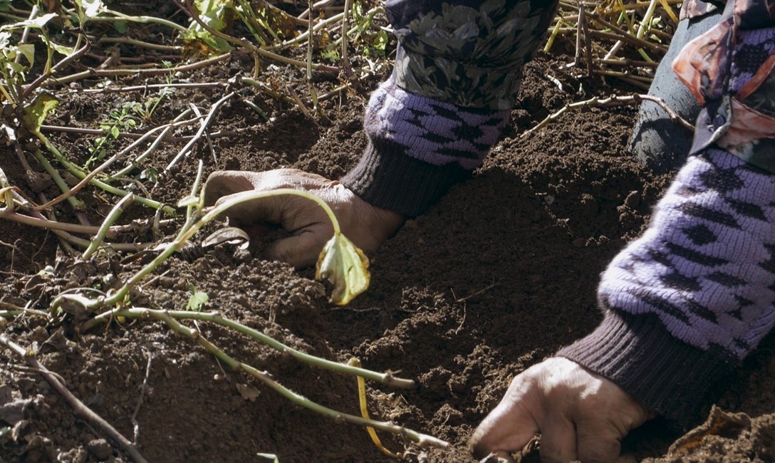 Matavai Taulangau, Api Ko Lotopau, 2019, HD video, still. Image courtesy of the artist.