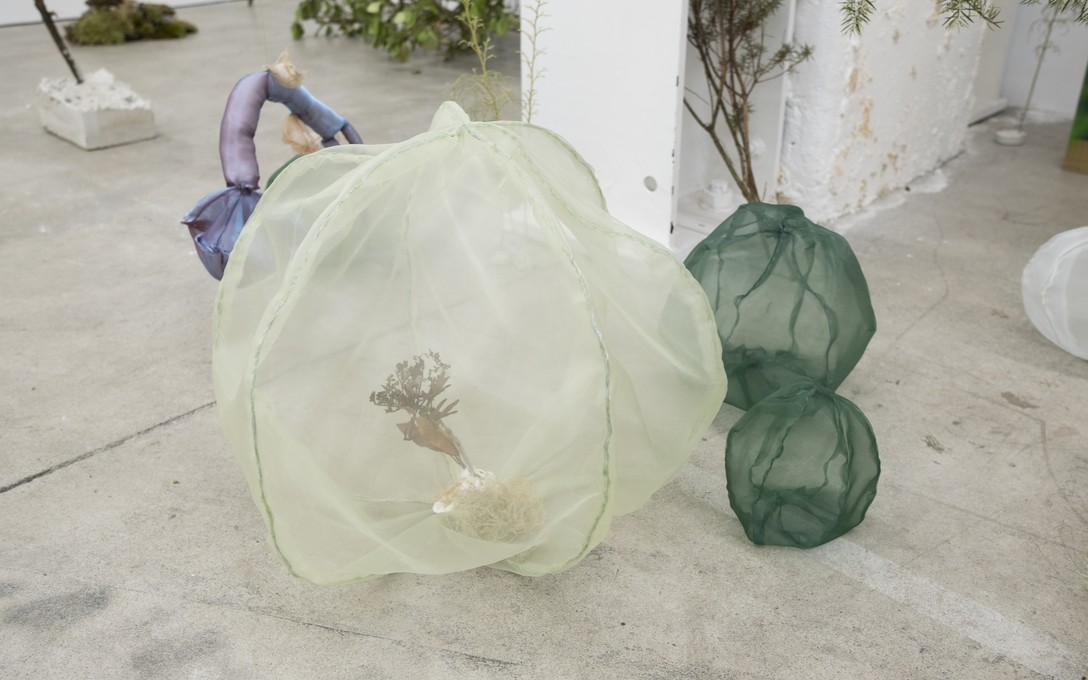 Sena Park, I touch the surface, we draw wild beauty, 2025. Photo by Samson Dell.