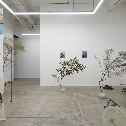 Sena Park, I touch the surface, we draw wild beauty, 2025. Photo by Samson Dell.