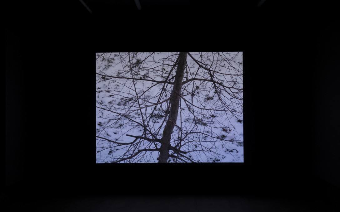 Lily Worrall, moon iron wings, 2026. Photo by Samson Dell.