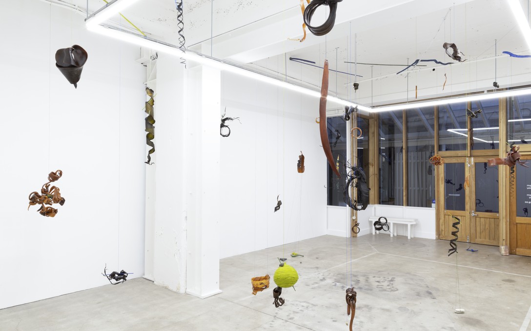 Heidi Brickell, A koru is a trajectory, 2024, installation view. Courtesy of Cheska Brown.
