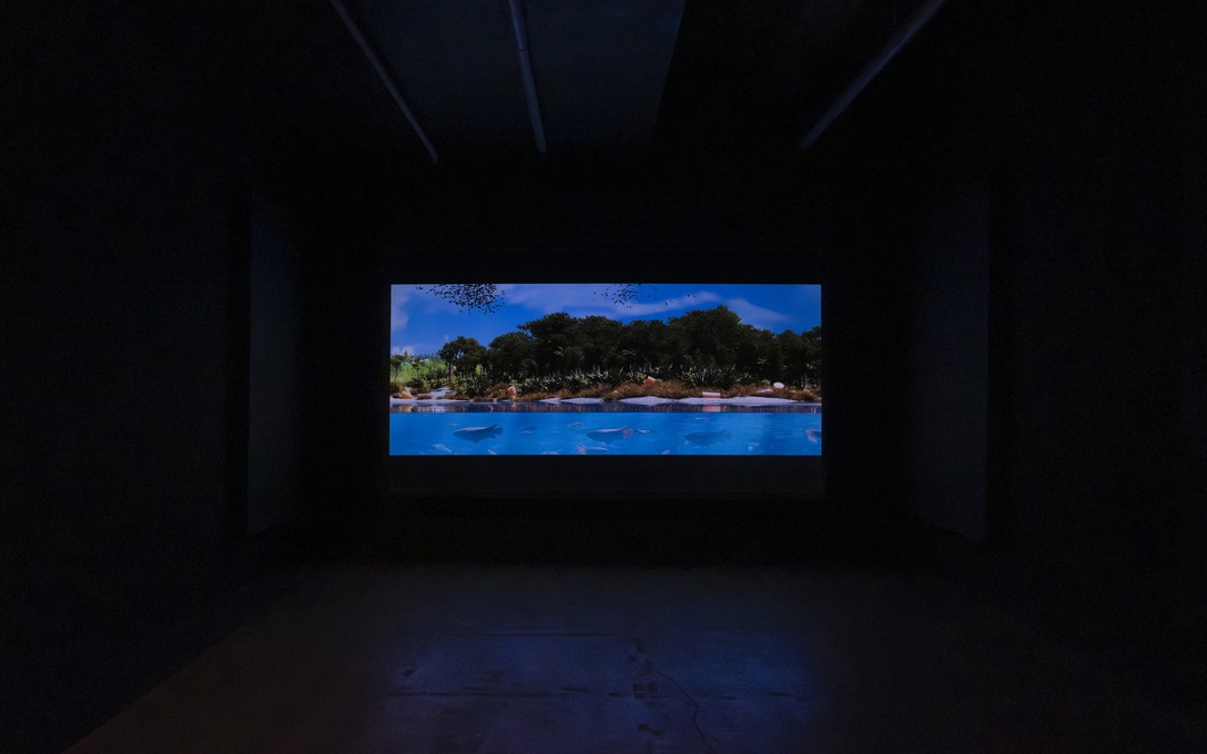 George Turner, Refugia.exe, 2025. Installation view. Photo by Samson Dell.