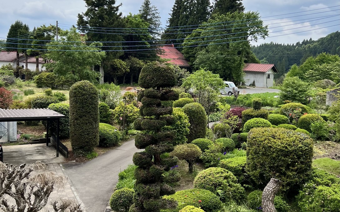 Sena Park, I touch the surface, we draw wild beauty, 2025.