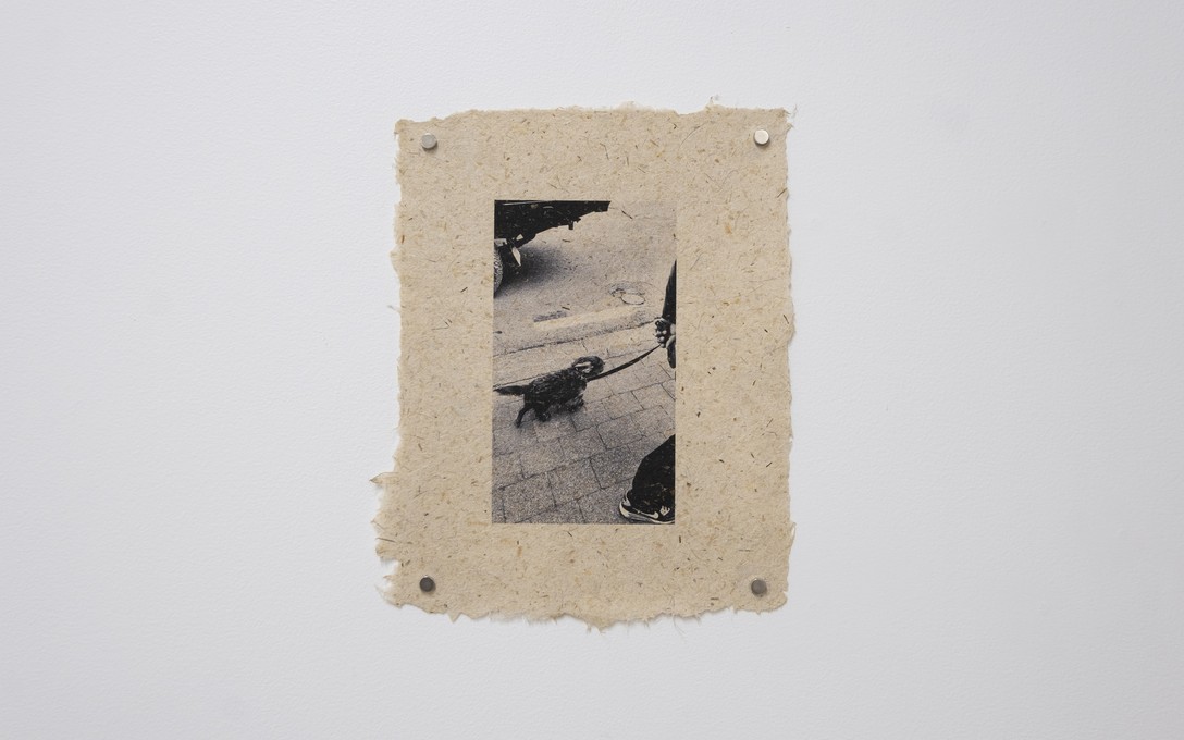 Matt Tini, of forests and concrete, 2025. Photo by Samson Dell.