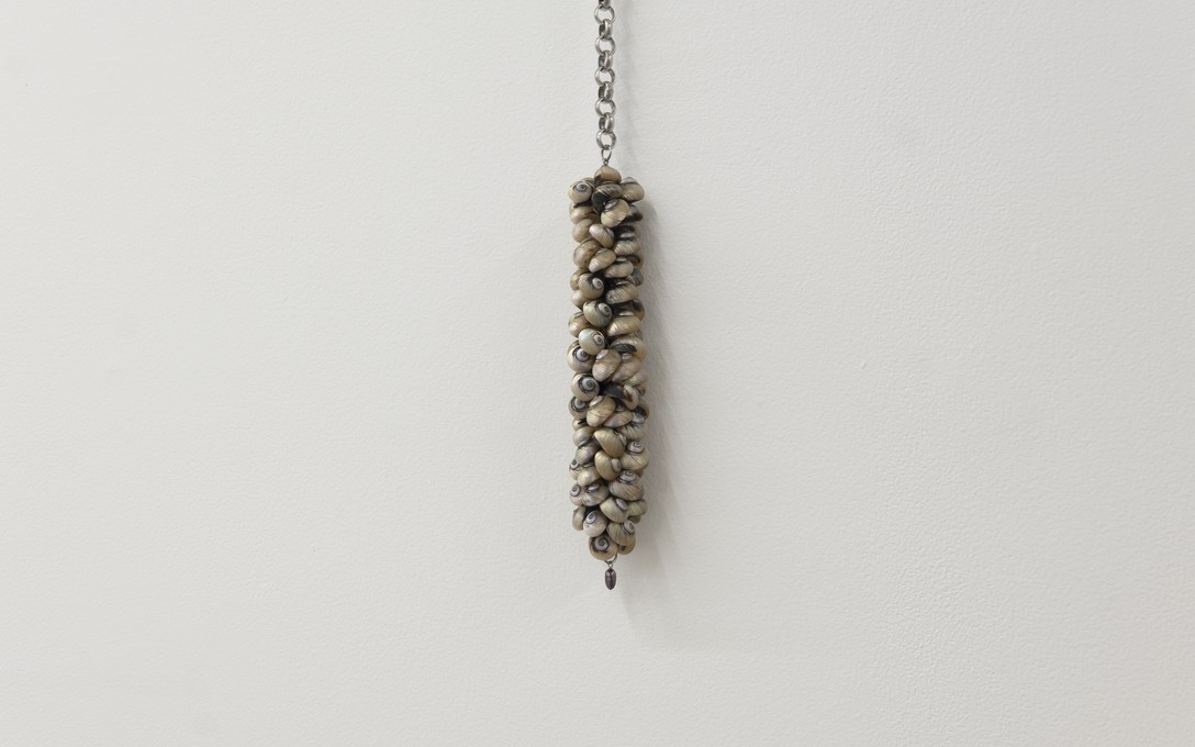 Bailey Gardner, Untitled #2, Pūpū shells, nylon, recycled chain, steel, freshwater pearl, 2026, detail. Photo by Samson Dell.