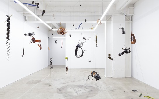 Heidi Brickell, A koru is a trajectory, 2024, installation view. Photo by Cheska Brown.