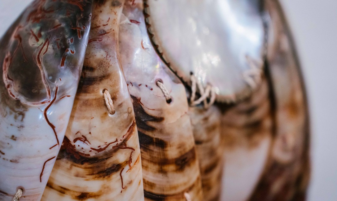 Arawhetu Berdinner, Kōuma Mahara, 2026 (detail). Photo by Florence Hilyer-Brandt.
