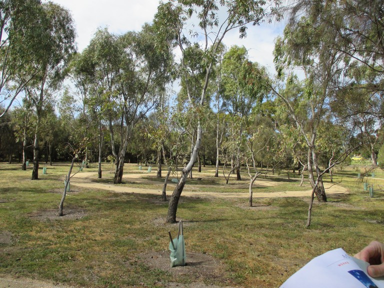 Rachel Buchanan, ‘A forest for Australia’, Altona Treatment Plant, Melbourne, 1 October 2014. © Rachel Buchanan