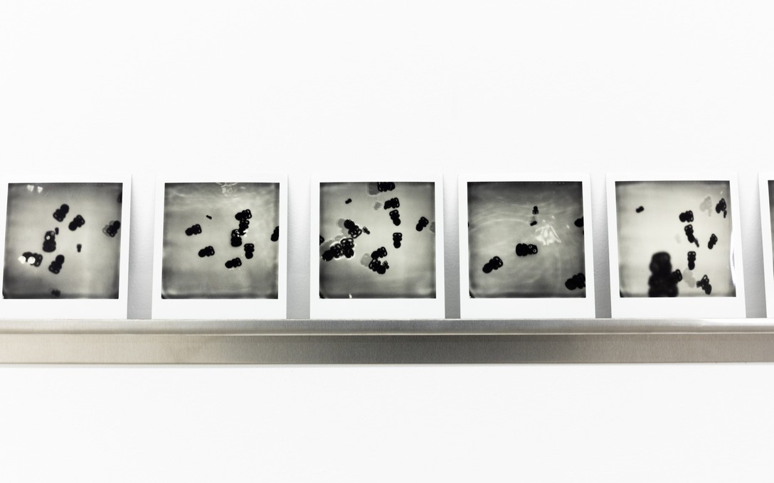 Tessa Russell, 1835, 2024-2025. Detail view. Photo by Renati Waaka.