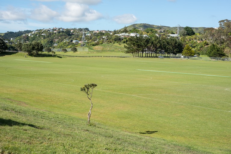 Mary Macpherson, Spindly Pohutukawa, Wellington. Archival inkjet print, 420x594mm, series 2011-2014. © Mary Macpherson