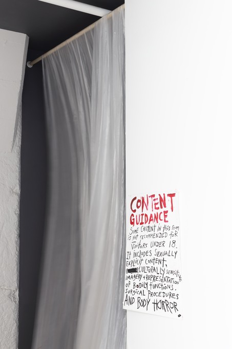 The Ethics of Witnessing, installation view. Image courtesy of Cheska Brown.  